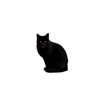A Black Cat Sits On Rustic Stone Steps Outside, Adding Mystery To The Scene. 13643 - Cat PNG image with transparent background